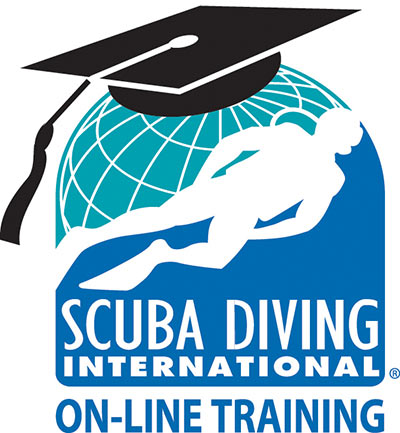 eLearning Dive Course