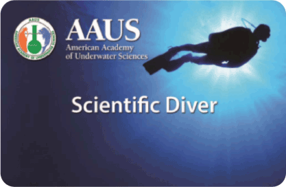 AAUS Scientific Diver Card