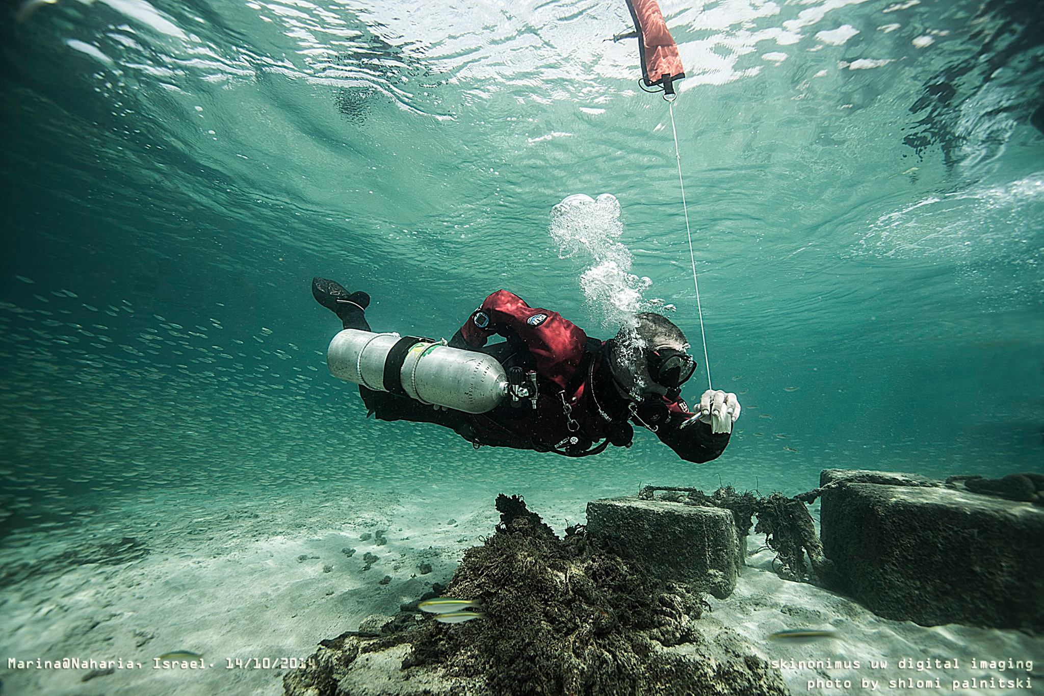 dry suit diver