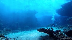 biler wreck lagoon 