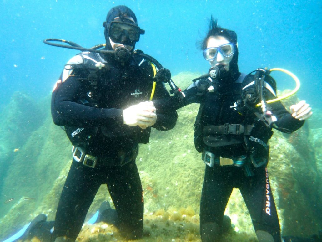 reef divers