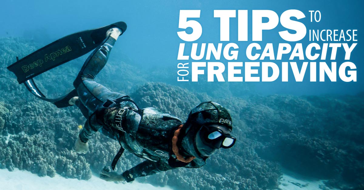 PFI Freediver Blog