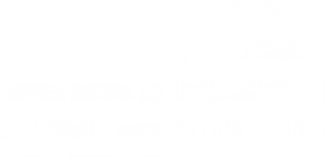 SDI-Logo