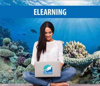 eLearning