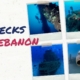 Wrecks of Lebanon