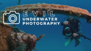 Evil Underwater Photography