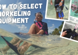 How to Select Snorkeling Equipment