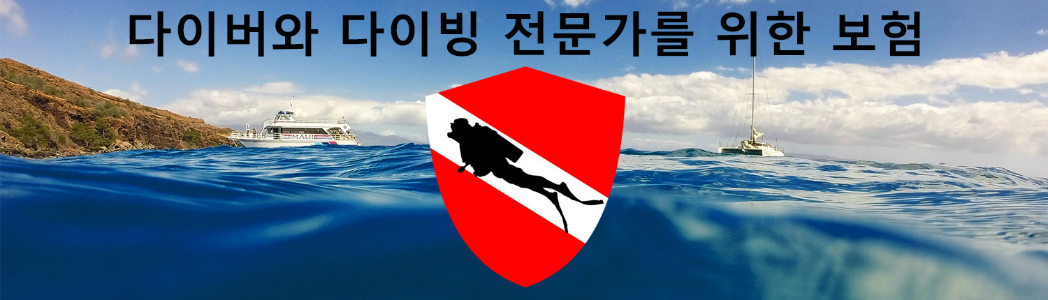 Insurance Page Banner Korean