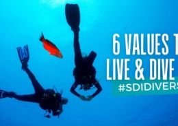 Six values to live and dive by