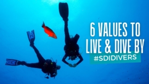 Six values to live and dive by