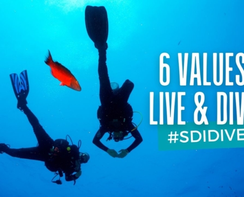 Six values to live and dive by