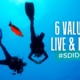 Six values to live and dive by